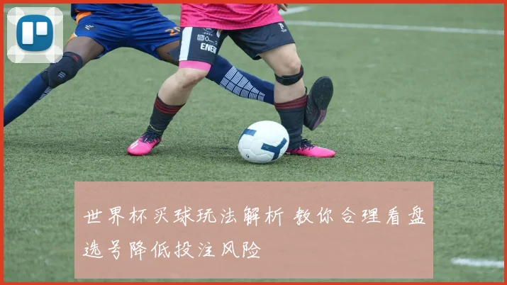 世界杯买球玩法解析 教你合理看盘选号降低投注风险