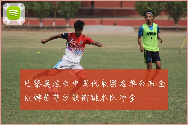 巴黎奥运会中国代表团名单公布全红婵陈芋汐领衔跳水队冲金