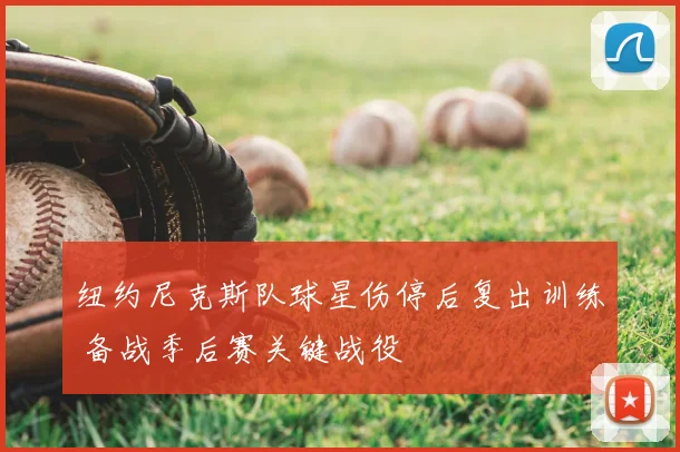 纽约尼克斯队球星伤停后复出训练 备战季后赛关键战役