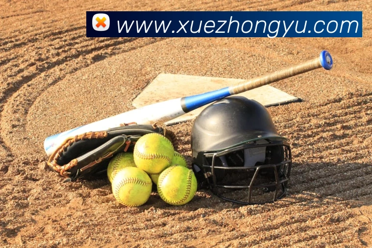 App Interface Preview